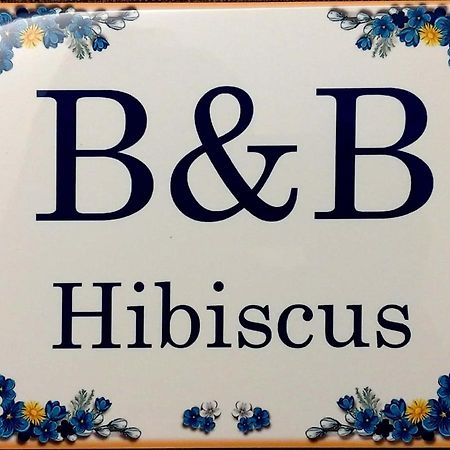 B&B Hibiscus Porto SantʼElpidio Kültér fotó