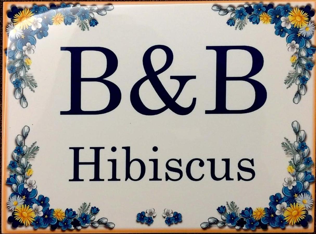 B&B Hibiscus Porto SantʼElpidio Kültér fotó